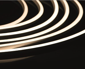 Neon 0306 Single Colour & Tunable White IP54